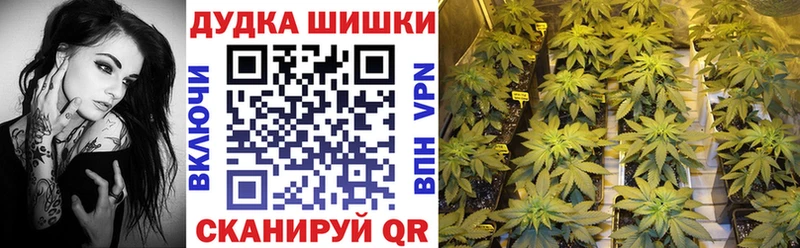 Конопля LSD WEED  магазин продажи наркотиков  Змеиногорск 